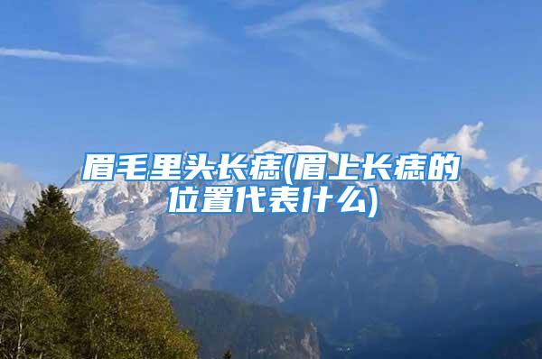 眉毛里头长痣(眉上长痣的位置代表什么)