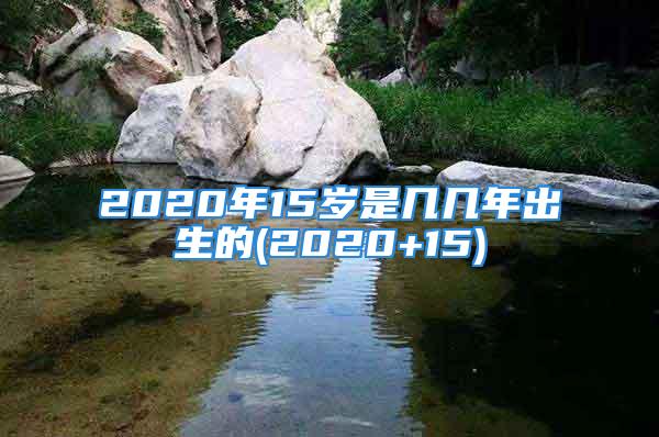 2020年15岁是几几年出生的(2020+15)