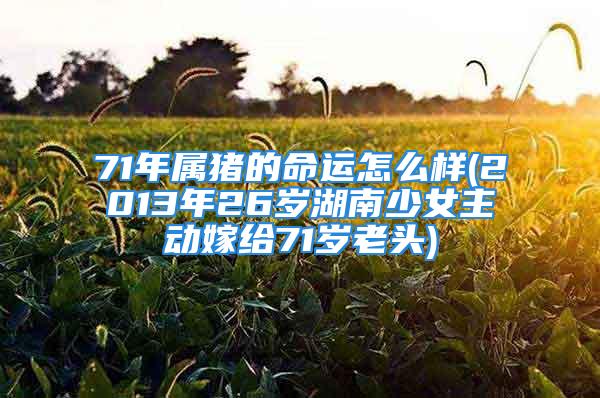 71年属猪的命运怎么样(2013年26岁湖南少女主动嫁给71岁老头)