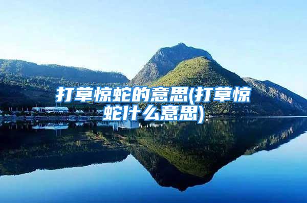 打草惊蛇的意思(打草惊蛇什么意思)