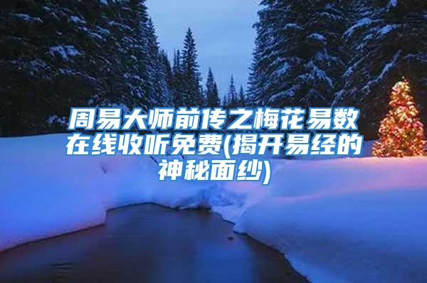 周易大师前传之梅花易数在线收听免费(揭开易经的神秘面纱)