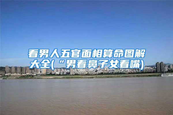 看男人五官面相算命图解大全(“男看鼻子女看嘴)