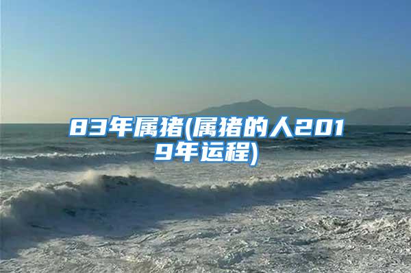 83年属猪(属猪的人2019年运程)