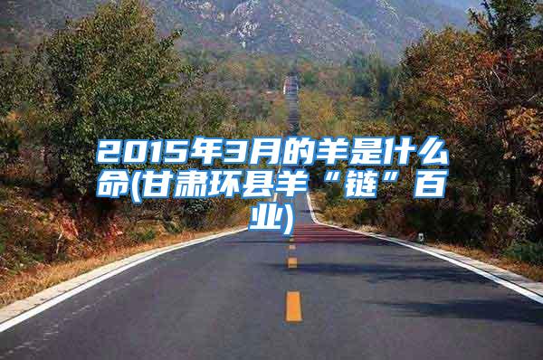 2015年3月的羊是什么命(甘肃环县羊“链”百业)