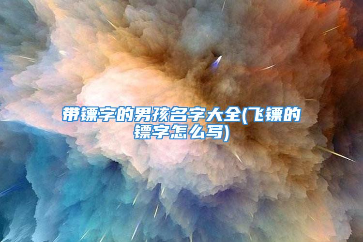 带镖字的男孩名字大全(飞镖的镖字怎么写)