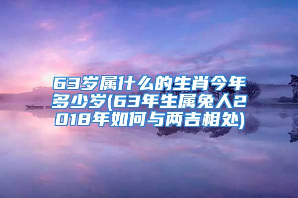 63岁属什么的生肖今年多少岁(63年生属兔人2018年如何与两吉相处)