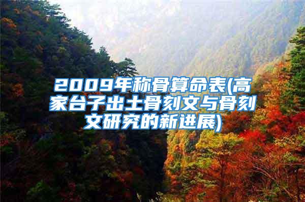 2009年称骨算命表(高家台子出土骨刻文与骨刻文研究的新进展)