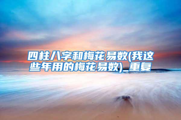 四柱八字和梅花易数(我这些年用的梅花易数)_重复