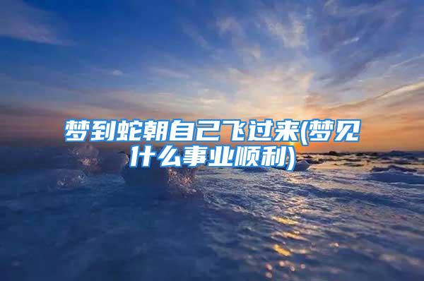 梦到蛇朝自己飞过来(梦见什么事业顺利)