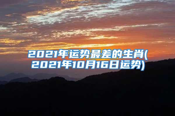 2021年运势最差的生肖(2021年10月16日运势)