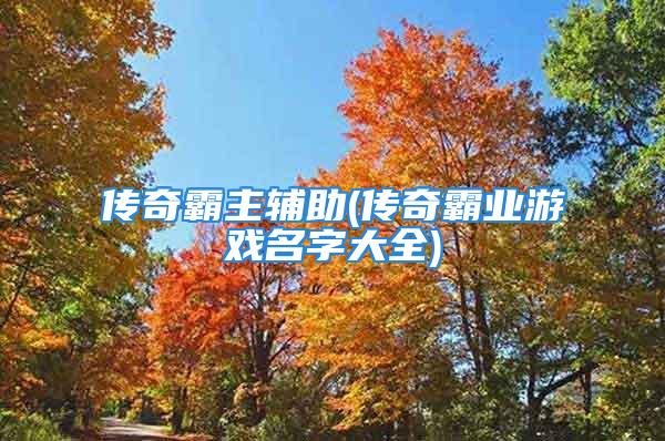 传奇霸主辅助(传奇霸业游戏名字大全)