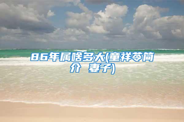 86年属啥多大(童祥苓简介 妻子)