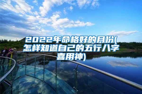 2022年命格好的月份(怎样知道自己的五行八字喜用神)