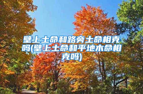壁上土命和路旁土命相克吗(壁上土命和平地木命相克吗)