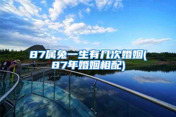 87属兔一生有几次婚姻(87年婚姻相配)