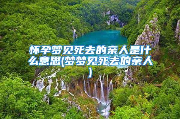 怀孕梦见死去的亲人是什么意思(梦梦见死去的亲人)