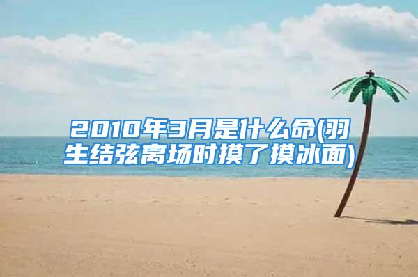 2010年3月是什么命(羽生结弦离场时摸了摸冰面)