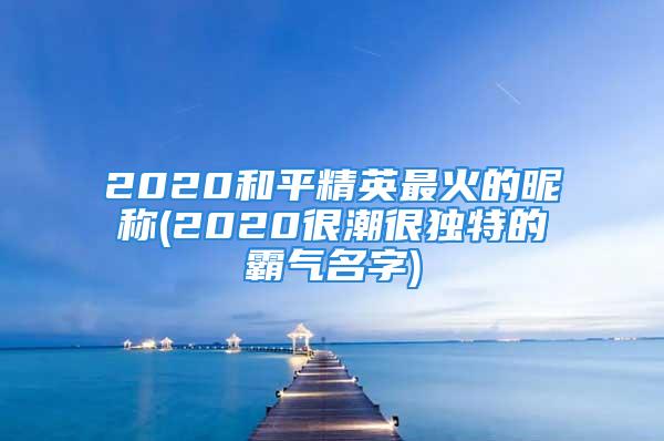 2020和平精英最火的昵称(2020很潮很独特的霸气名字)