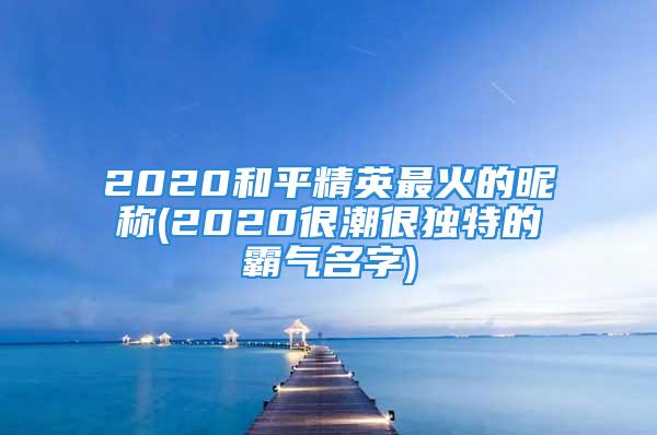 2020和平精英最火的昵称(2020很潮很独特的霸气名字)