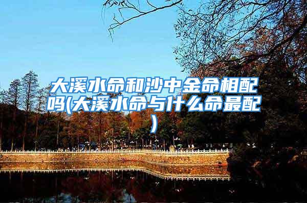 大溪水命和沙中金命相配吗(大溪水命与什么命最配)
