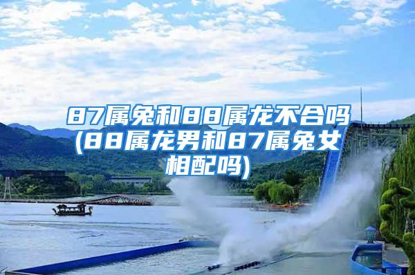 87属兔和88属龙不合吗(88属龙男和87属兔女相配吗)