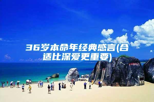 36岁本命年经典感言(合适比深爱更重要)
