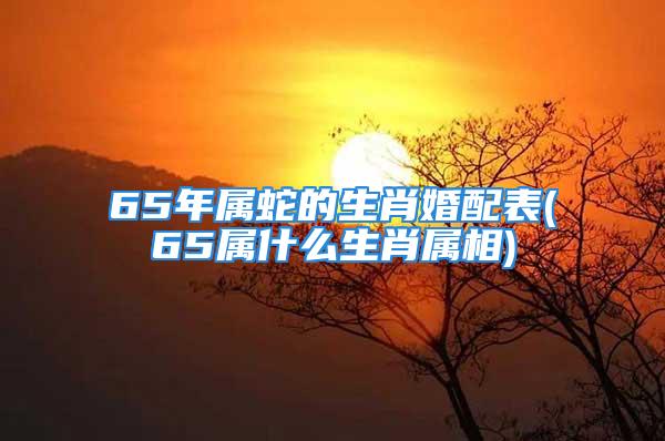65年属蛇的生肖婚配表(65属什么生肖属相)