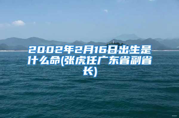 2002年2月16日出生是什么命(张虎任广东省副省长)