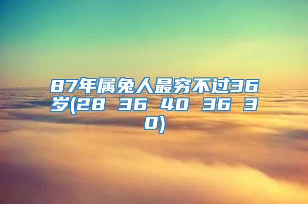87年属兔人最穷不过36岁(28 36 40 36 30)