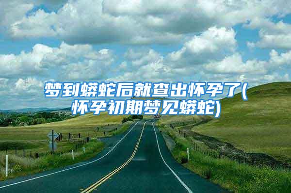 梦到蟒蛇后就查出怀孕了(怀孕初期梦见蟒蛇)
