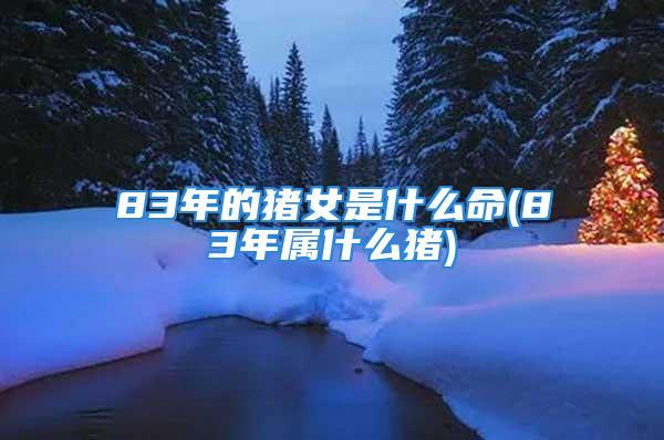 83年的猪女是什么命(83年属什么猪)