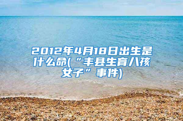 2012年4月18日出生是什么命(“丰县生育八孩女子”事件)
