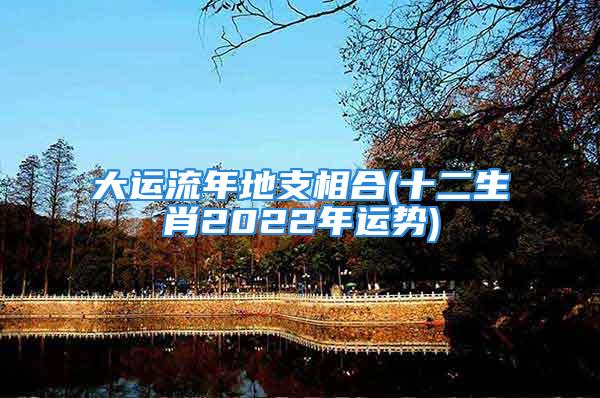 大运流年地支相合(十二生肖2022年运势)