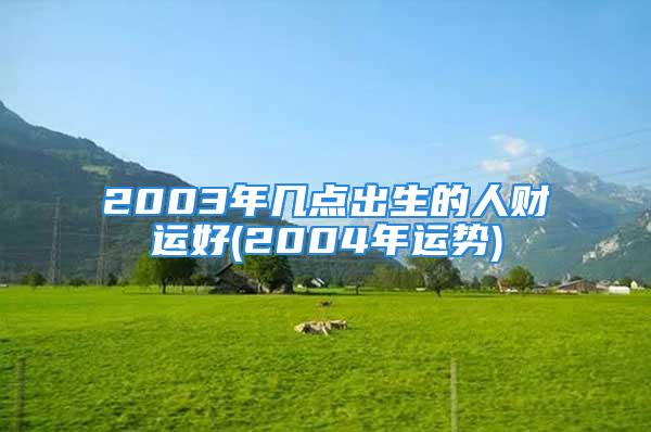 2003年几点出生的人财运好(2004年运势)