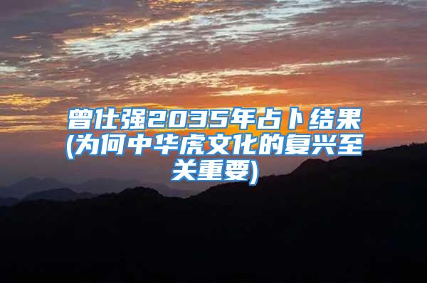 曾仕强2035年占卜结果(为何中华虎文化的复兴至关重要)