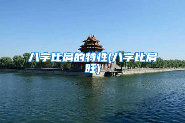 八字比肩的特性(八字比肩旺)