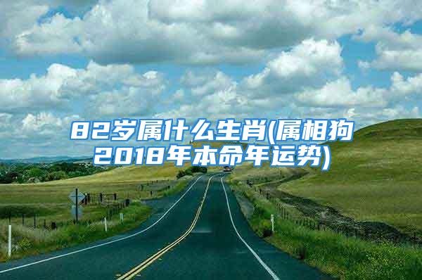 82岁属什么生肖(属相狗2018年本命年运势)