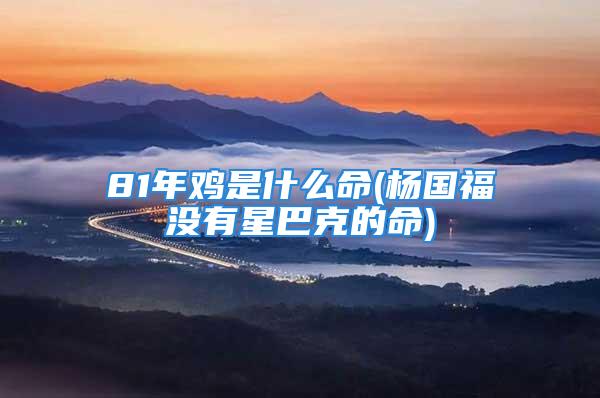 81年鸡是什么命(杨国福没有星巴克的命)