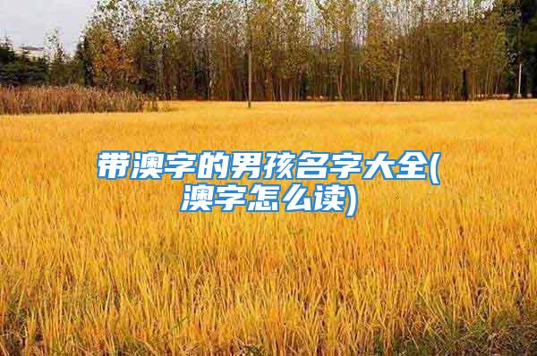 带澳字的男孩名字大全(澳字怎么读)