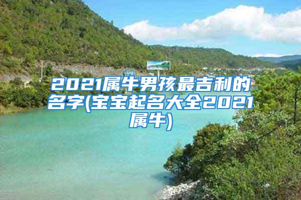 2021属牛男孩最吉利的名字(宝宝起名大全2021属牛)