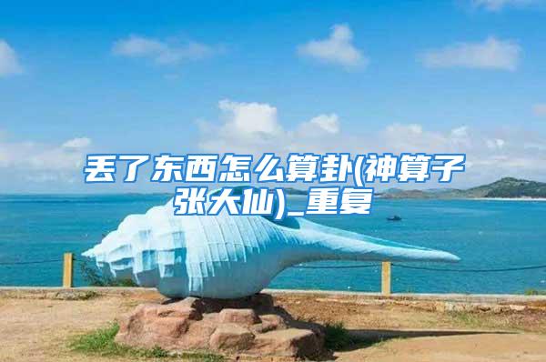 丢了东西怎么算卦(神算子张大仙)_重复