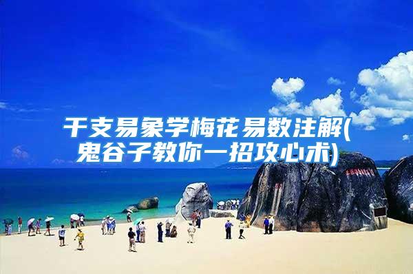 干支易象学梅花易数注解(鬼谷子教你一招攻心术)