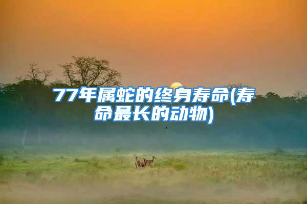 77年属蛇的终身寿命(寿命最长的动物)
