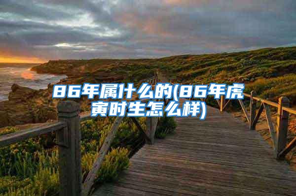 86年属什么的(86年虎寅时生怎么样)