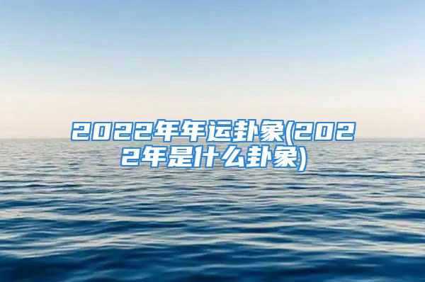 2022年年运卦象(2022年是什么卦象)
