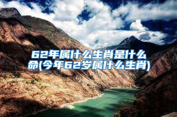 62年属什么生肖是什么命(今年62岁属什么生肖)