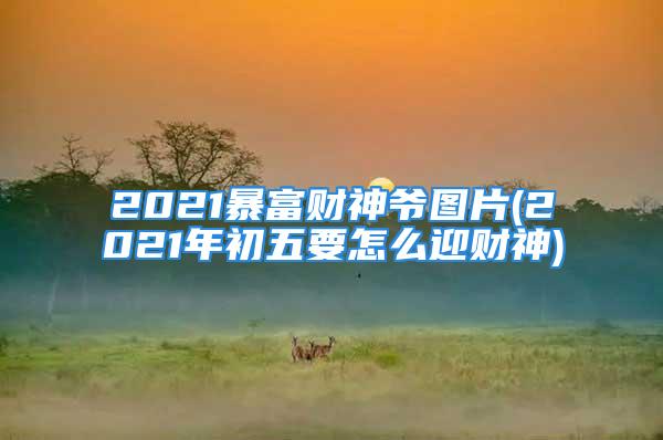 2021暴富财神爷图片(2021年初五要怎么迎财神)