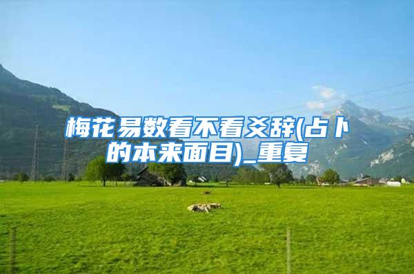 梅花易数看不看爻辞(占卜的本来面目)_重复