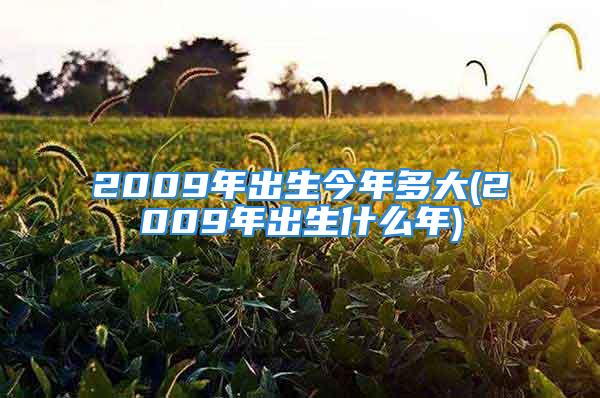 2009年出生今年多大(2009年出生什么年)