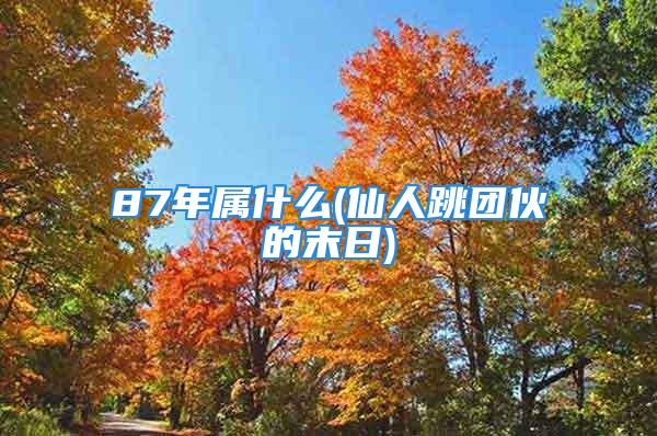 87年属什么(仙人跳团伙的末日)